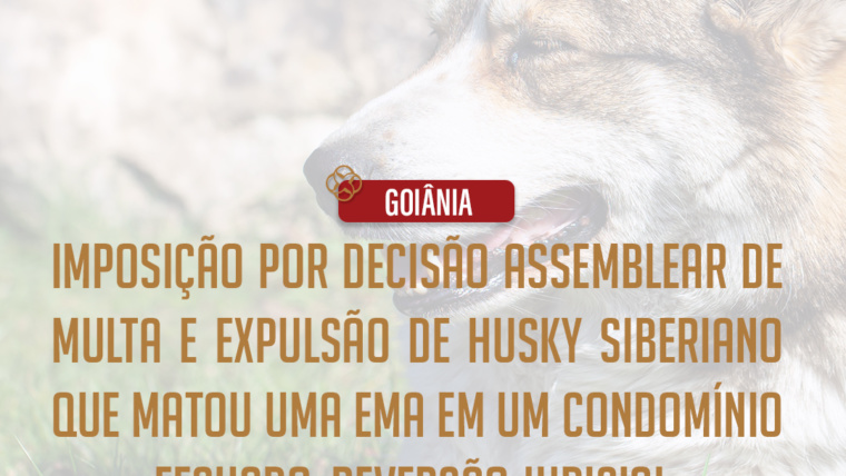 Decisão de Assembleia sobre Husky Siberiano